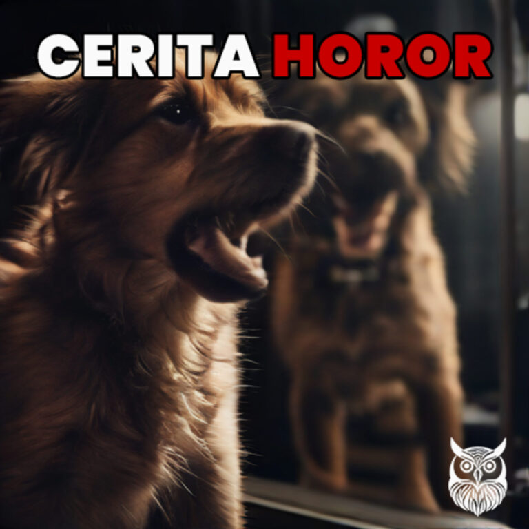 Cerita Horor – Anjing Adalah Sahabat Terbaik Manusia | Creepypasta